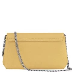 Pochette Chaine Longchamp Roseau -Mode Sacs Magasin 3597922271764d3